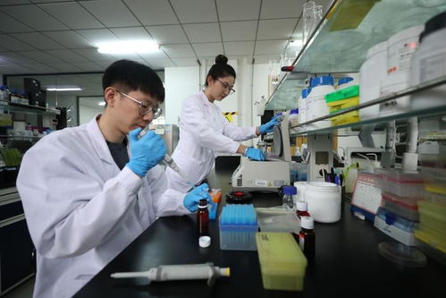 探訪北方粳稻育種栽培技術(shù)國家地方聯(lián)合工程實(shí)驗室 遼寧