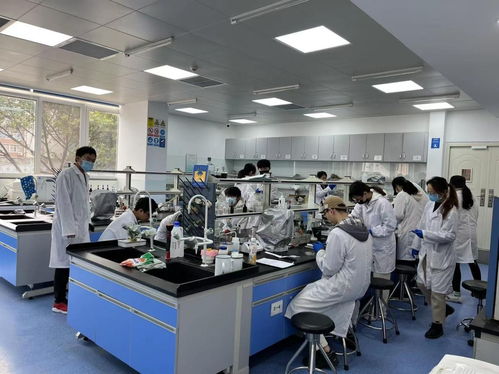 禧寶制研聯(lián)手川大食品研究院 以科學(xué)力量詮釋米其林味覺的標(biāo)準(zhǔn)化之路